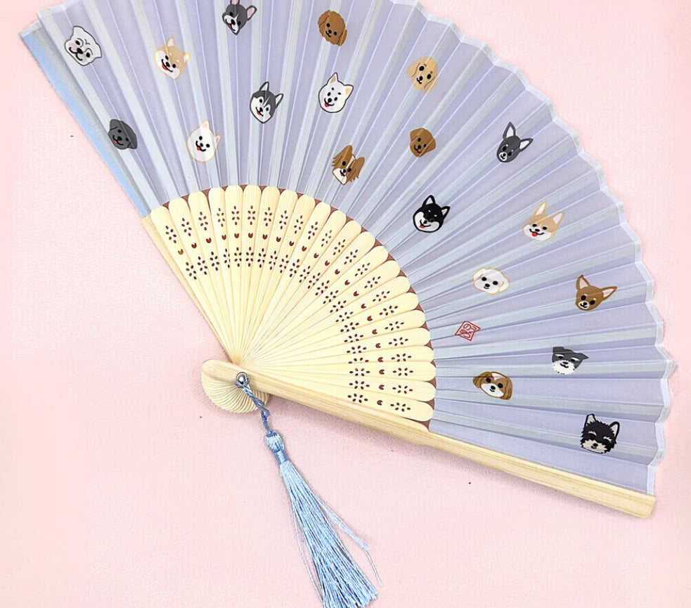 Skin Care Fan