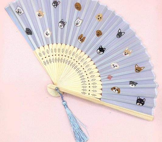 Skin Care Fan